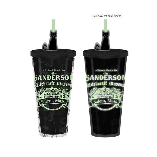 Silver Buffalo Hocus Pocus Glow in the Dark 24oz Plastic Cold Cup w/ Lid
