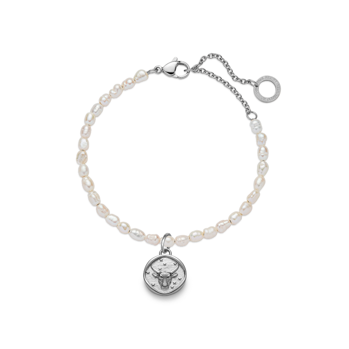 Taurus Charm Silber
