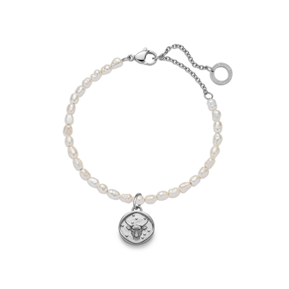 Taurus Charm Silber