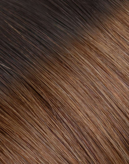 R2-6 - Rooted Chestnut