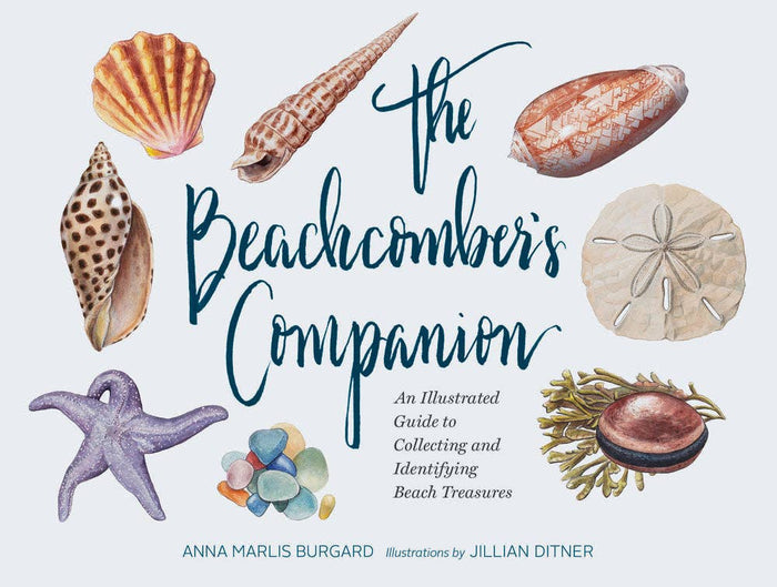 Cover of 'The Beachcomber's Companion' featuring watercolor illustrations of various shells and a starfish with the title and author's name, Anna Maria Burgard, displayed prominently.