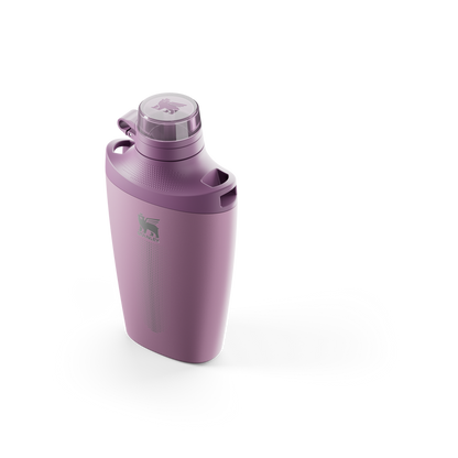 Stanley Crossbody Water Bottle in Lilac