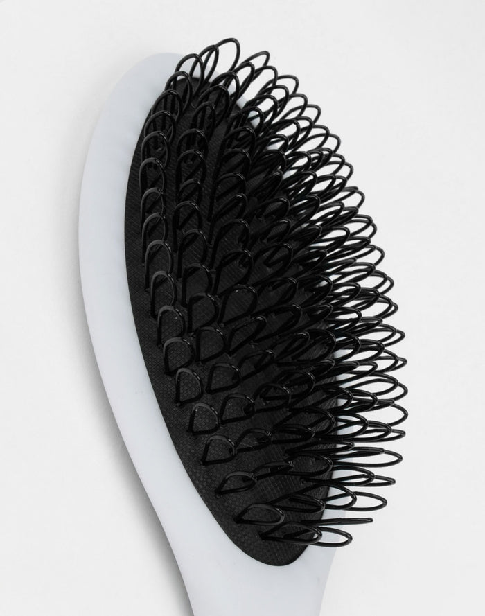 THS Loop Brush