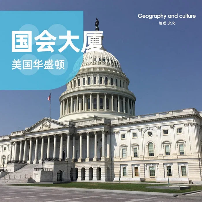Wange Bricks: The USA Capitol Building Bricks Modular Model Toy Figure